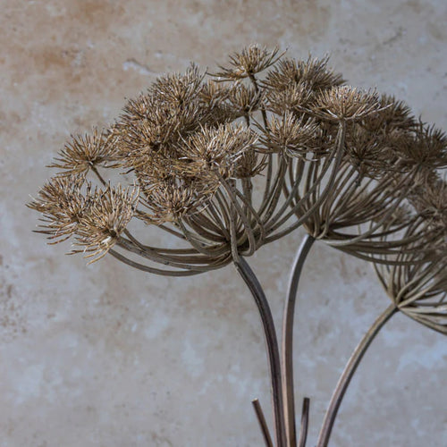 Faux Wild Angelica