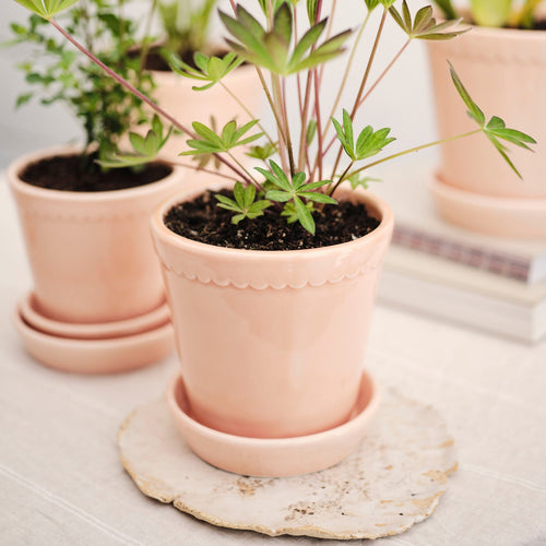 Helena Glazed Pot & Saucer, Rosa Quartz