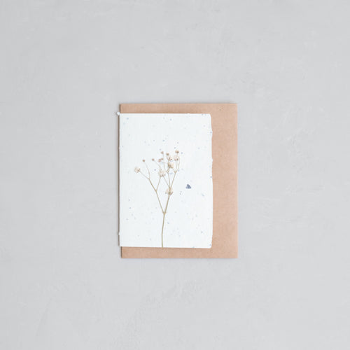 Pressed Flower Cards