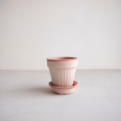 Simona Rosa Pot & Saucer