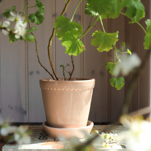 Helena Glazed Pot & Saucer, Rosa Quartz