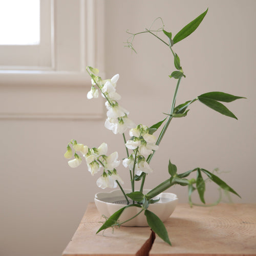 Ceramic ikebana dish and pin frog