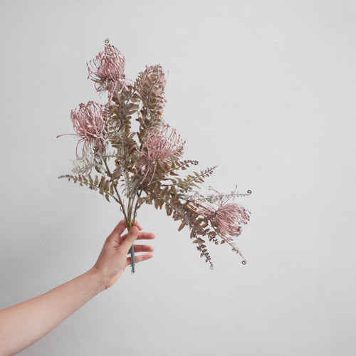 Abigail Ahern_Leucospermum Bush