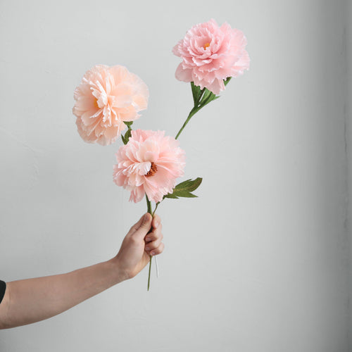 Paper Flower Peony Petal Pink