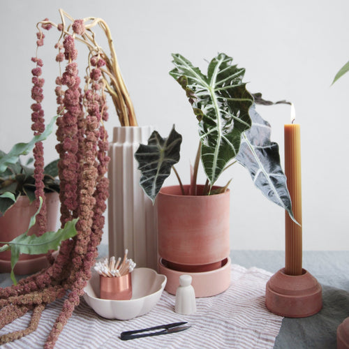 white ceramic fleur dish