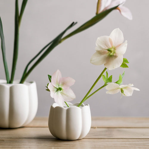 We gathered some of our favorite items so you can set your table with ease, gift thoughtfully, and effortlessly curate a nature inspired home.  At-home floral arranging essentials - our Ceramic Flower Frog Vase and Japanese Floral Clippers make it easy to create striking and dynamic modern floral projects that are on par with professional florists.