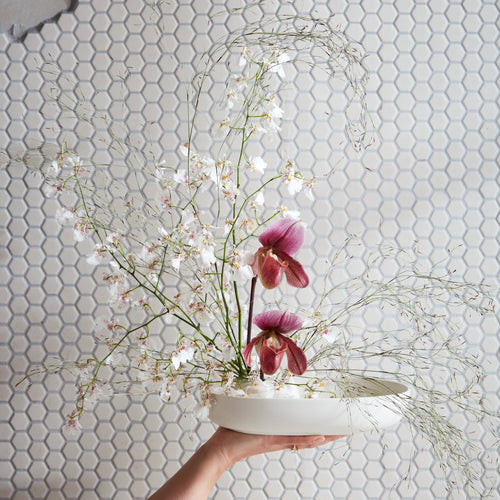 Our stand-alone ceramic frog is perfectly paired with the oval dish. It can also be used independently or with any open vessel of your choosing. The holes can be filled with water to display a minimal selection of flowers, or keep herbs fresh on your kitchen counter. When not in use, display it as a sculptural object. 