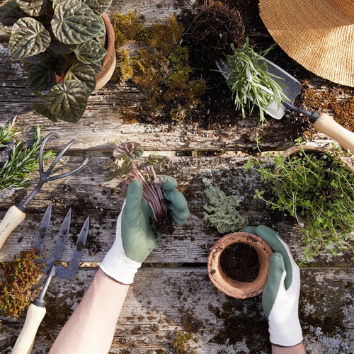 Our forged fork breaks up even the toughest clay-laden soil. Excellent for aerating soil.  Hand forged from durable tempered boron steel with ash hardwood handles harvested sustainably.   Made in Holland.  Lifetime Guarantee. 