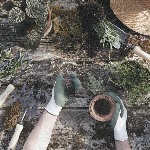 Our forged trowel is perfect for any gardening task such as planting, digging, aerating, cultivating, and even weeding. Hand forged from durable tempered boron steel with ash hardwood handles harvested sustainably. 