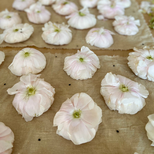 No 3. Botanical Placemat & Napkin Set